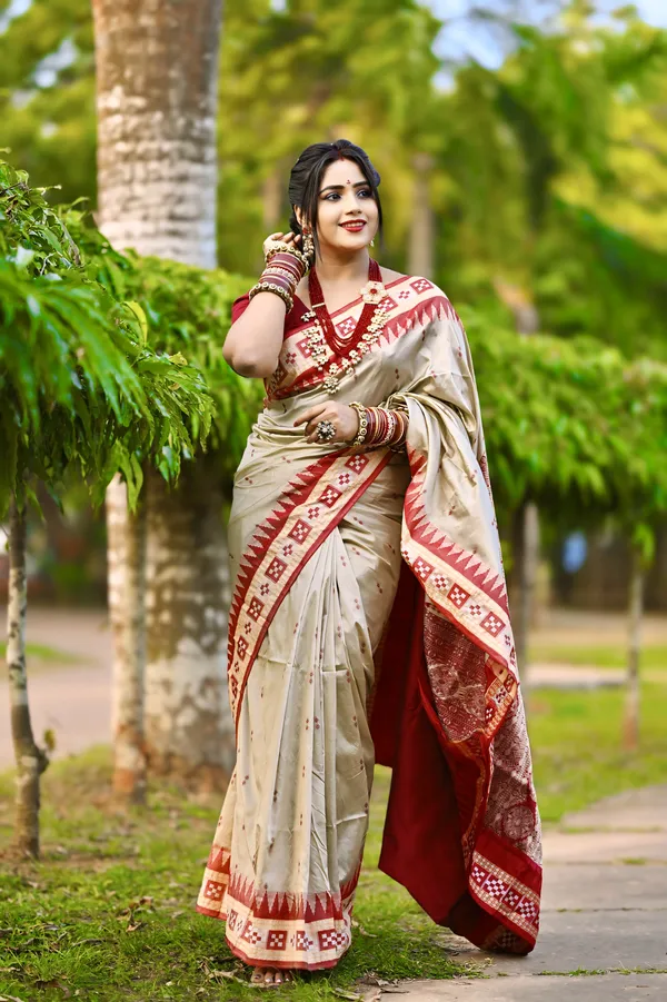 Ethnic_Sarees_Sambalpuri_silk_patta_saree_Chiku_