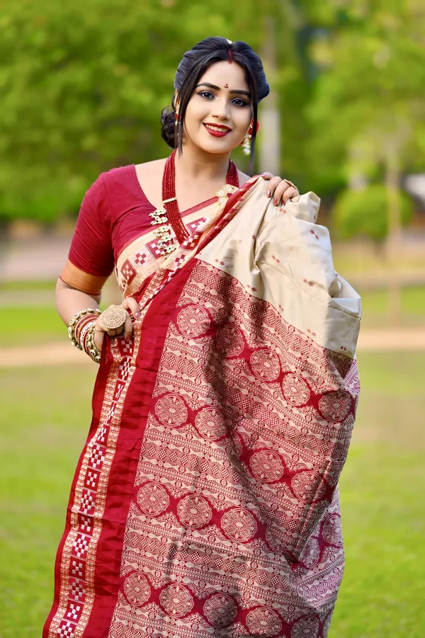 Ethnic_Sarees_Sambalpuri_silk_patta_saree_Chiku_