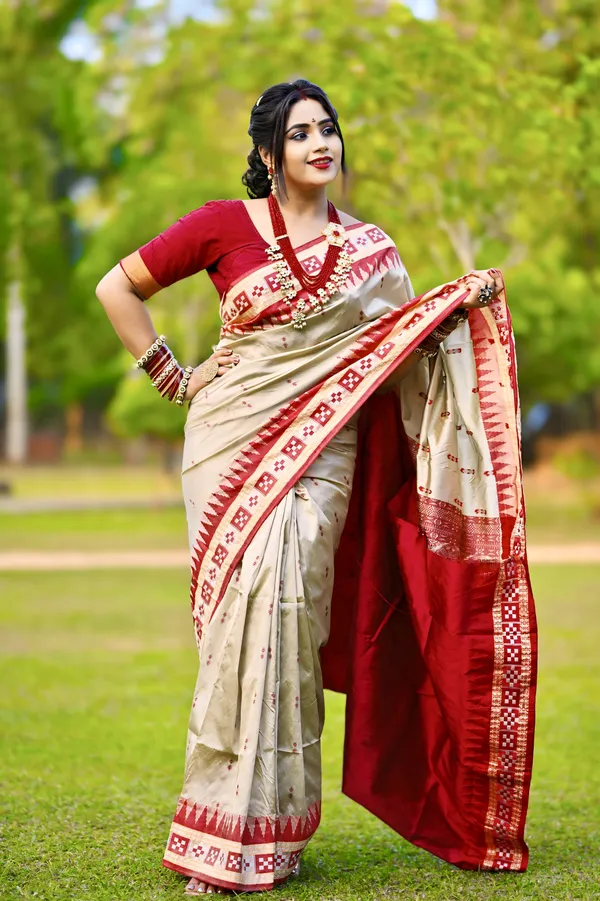 Ethnic_Sarees_Sambalpuri_silk_patta_saree_Chiku_