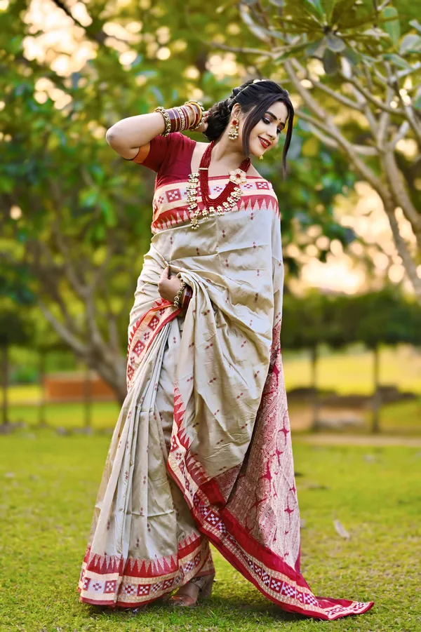 Ethnic_Sarees_Sambalpuri_silk_patta_saree_Chiku_