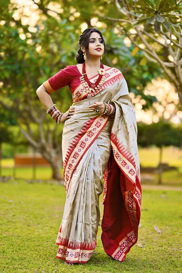 Ethnic_Sarees_Sambalpuri_silk_patta_saree_Chiku_