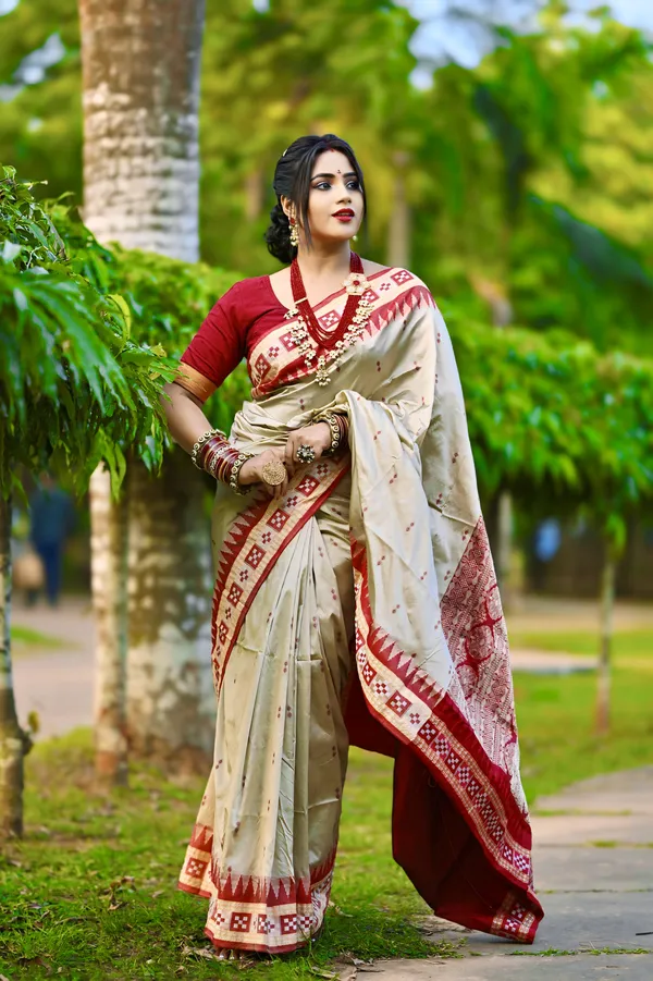 Ethnic_Sarees_Sambalpuri_silk_patta_saree_Chiku_