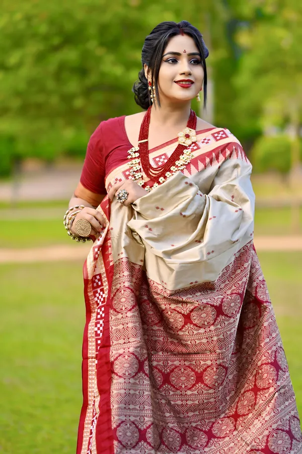Ethnic_Sarees_Sambalpuri_silk_patta_saree_Chiku_