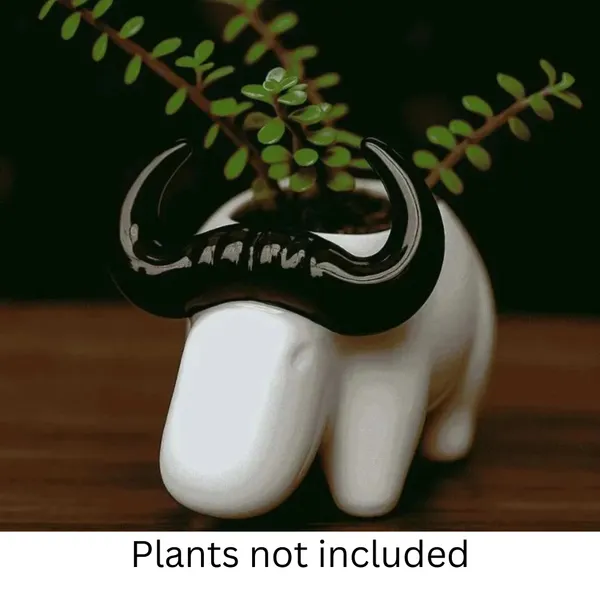 White_Bull_Shaped_Planter