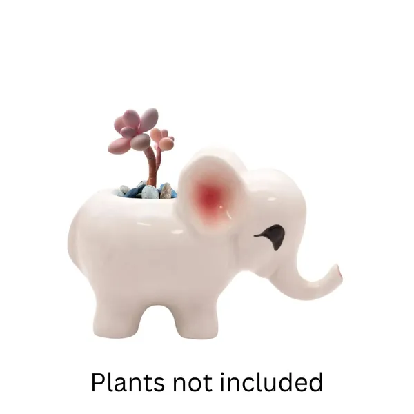 Jumbo_Small_White_Ceramic_Pots_for_Indoor_Plants,_Planters,_Flower,_gamla,_Outdoor,_Balcony,_Home,_Garden,_Office_Decor,_Succulent_Pot
