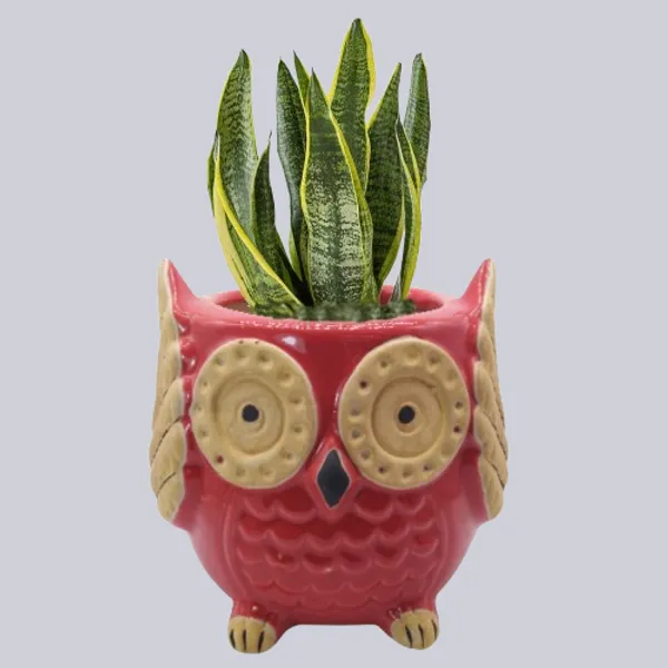 Red_Owl_Shape_Ceramic_Flower_Pot_Planter_Pot_Indoor_Outdoor_Planter_5.5_inch