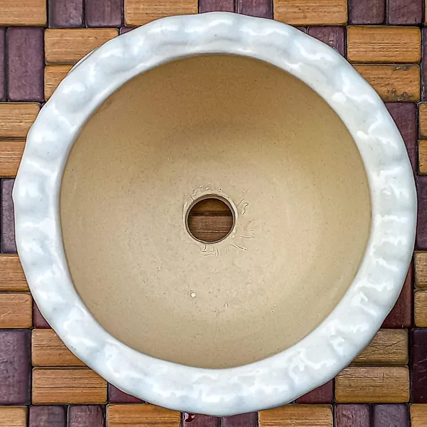 White_Ceramic_Cup_Planter_Plant_Container_Decorative_Planter_for_Home_D_cor/Living_Room/Office/Table_Top/Dining_Area_and_Windowsill_D_cor,_3_x_4_Inches