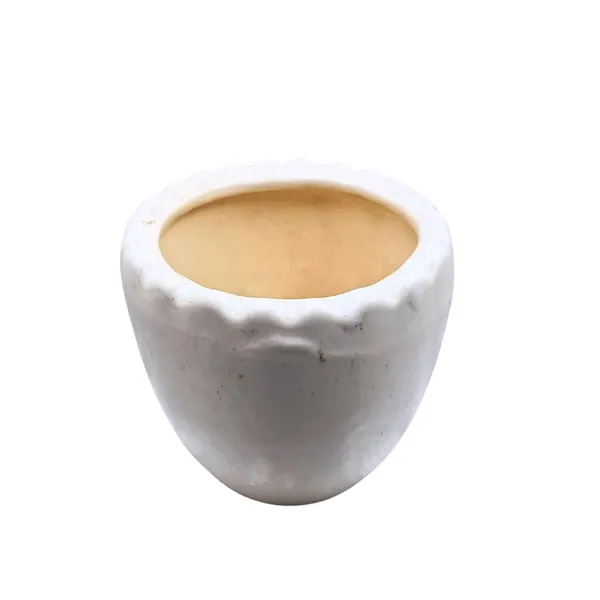 White_Ceramic_Cup_Planter_Plant_Container_Decorative_Planter_for_Home_D_cor/Living_Room/Office/Table_Top/Dining_Area_and_Windowsill_D_cor,_3_x_4_Inches