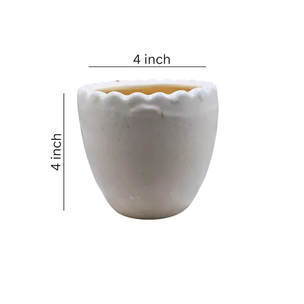 White_Ceramic_Cup_Planter_Plant_Container_Decorative_Planter_for_Home_D_cor/Living_Room/Office/Table_Top/Dining_Area_and_Windowsill_D_cor,_3_x_4_Inches