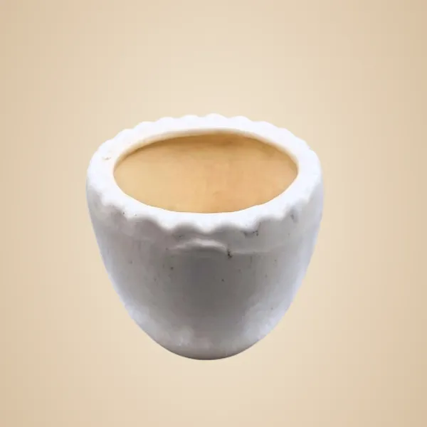 White_Ceramic_Cup_Planter_Plant_Container_Decorative_Planter_for_Home_D_cor/Living_Room/Office/Table_Top/Dining_Area_and_Windowsill_D_cor,_3_x_4_Inches