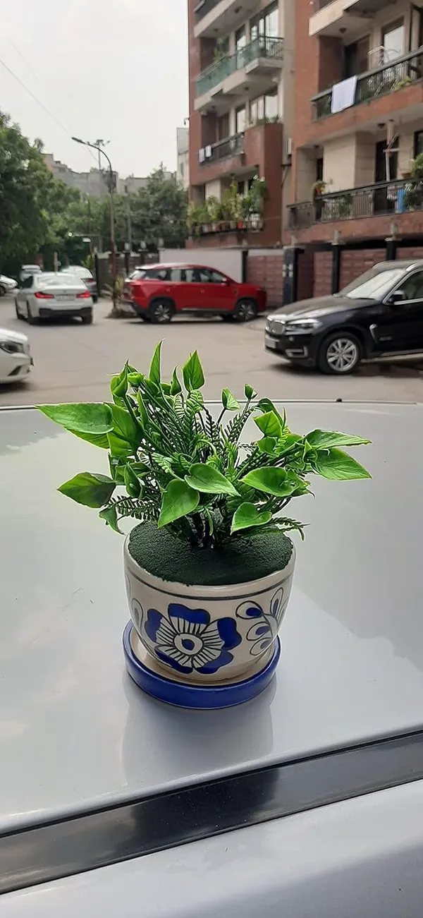 Blue_Ceramic_Cup_Plate_Planter_Without_Flower_Decorative_Planter_for_Home_D_cor/Living_Room/Office/Dining_Area_and_Windowsill,_3_x_4_inches