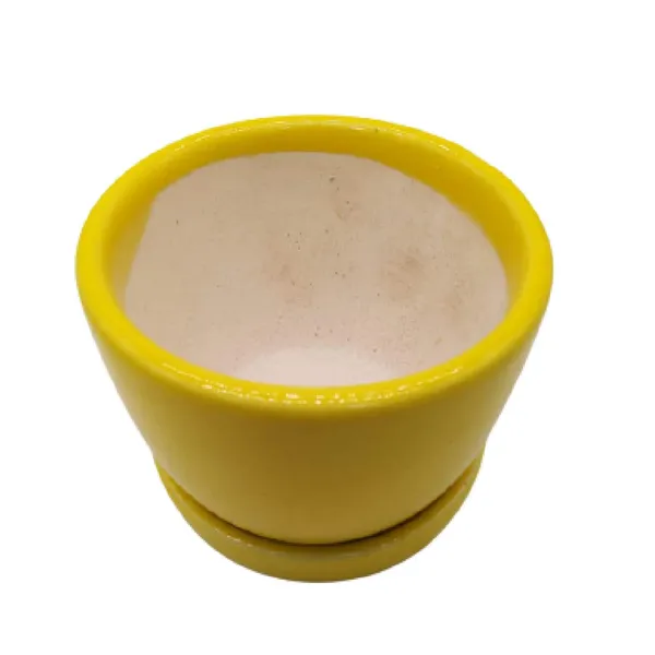 Yellow_Ceramic_Cup_Plate_Planter_Flower_Pot_Plant_Container_Indoor_Vase_3_Inch