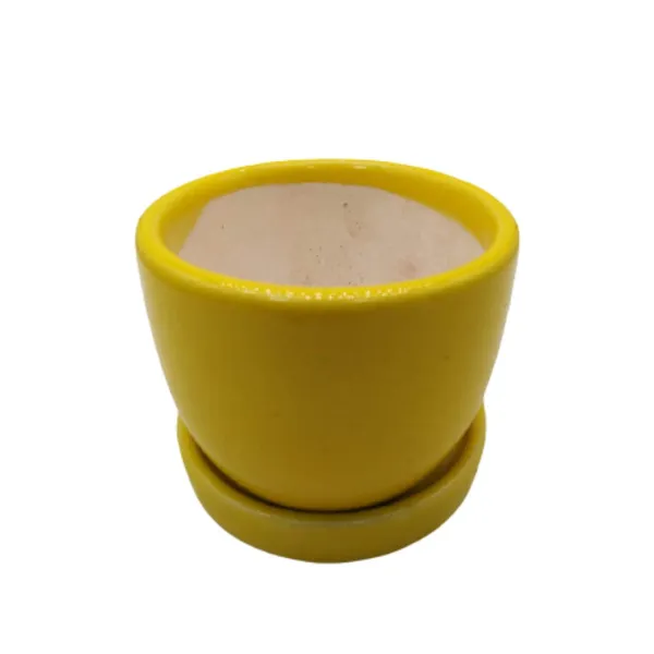 Yellow_Ceramic_Cup_Plate_Planter_Flower_Pot_Plant_Container_Indoor_Vase_3_Inch