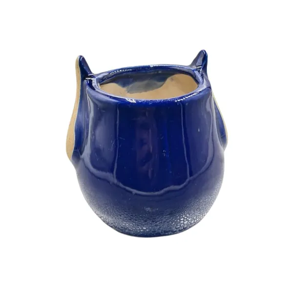 Blue_Owl_Shape_Ceramic_Flower_Pot_Planter_Pot_Indoor_Outdoor_Planter_3.5_inch