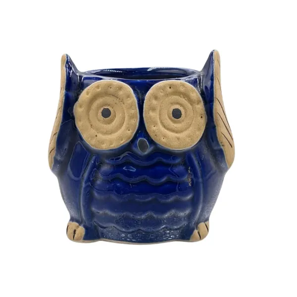 Blue_Owl_Shape_Ceramic_Flower_Pot_Planter_Pot_Indoor_Outdoor_Planter_3.5_inch