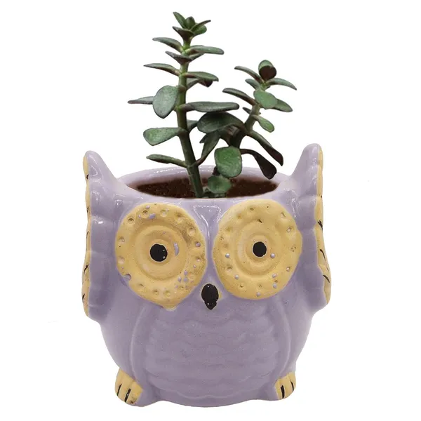 Purple_Owl_Shape_Ceramic_Flower_Pot_Planter_Pot_Indoor_Outdoor_Planter_3.5_inch