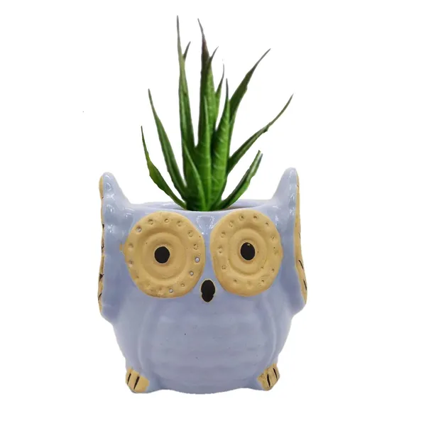Sky_Blue_Owl_Shape_Ceramic_Flower_Pot_Planter_Pot_Indoor_Outdoor_Planter_3.5_inch