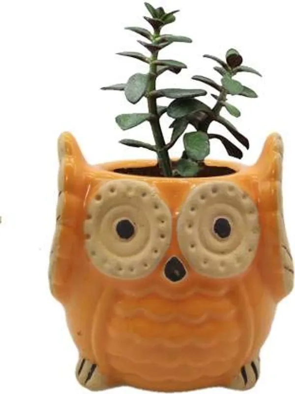 Orange_Owl_Shape_Ceramic_Flower_Pot_Planter_Pot_Indoor_Outdoor_Planter_3.5_inch