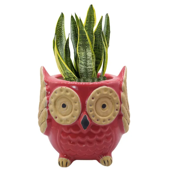 Red_Owl_Shape_Ceramic_Flower_Pot_Planter_Pot_Indoor_Outdoor_Planter_5.5_inch