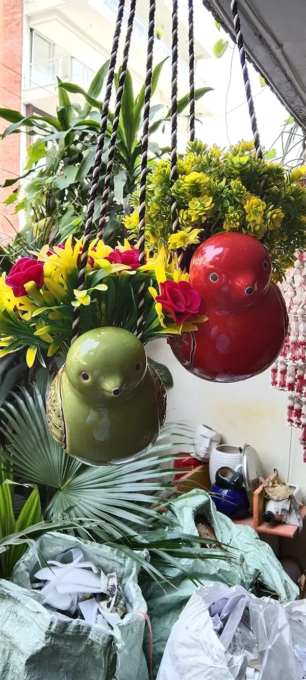 Set_of_2_Sparrow_Duo_Hanging_Planters___Red_&_Green