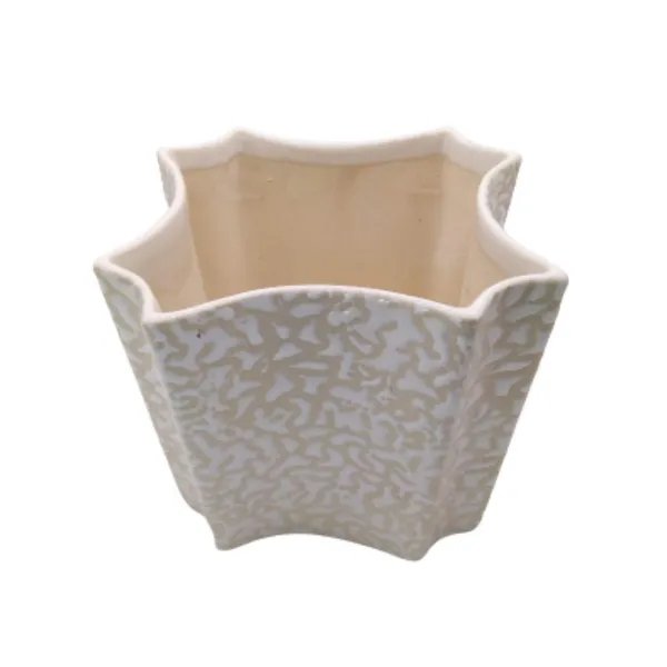 White_Ceramic_Indoor_Outdoor_Planter_Flower_Pot_Self_Design_5.5_inch