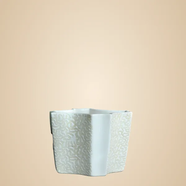 White_Ceramic_Indoor_Outdoor_Planter_Flower_Pot_Self_Design_5.5_inch