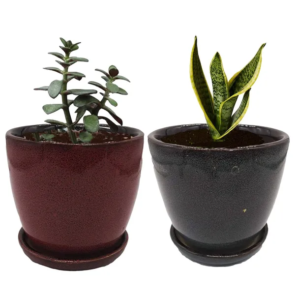 Cup_Plate_Ceramic_Flower_Pot_Planter_Indoor_Outdoor_Planter_4_Inch_Handicraft_by_Awarded__n_Artisan_(Black_and_Brown)
