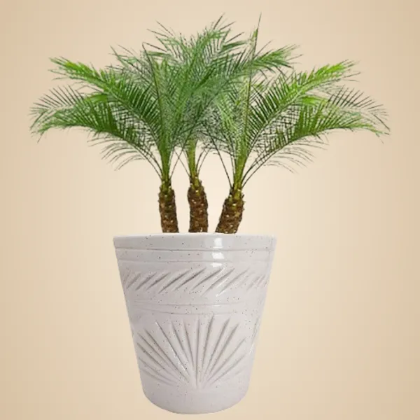 Ceramic_Flower_Pot_White_Self_Carving_Design_Planter_Vase_Indoor_Outdoor_Planter_Handicraft_by_Awarded__n_Artisan_(5.5_Inch,_White)