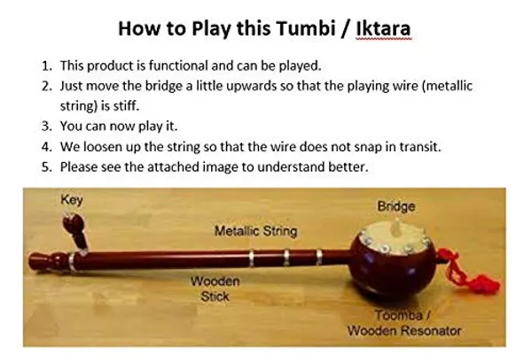 India_Meets_India_12.5"_kaddoo_(Pumpkin)_Ektara,_Tumbi,_Iktrara,_8_Years_Kids,_Student_Ektara,_Handicraft_by_Awarded_Indian_Artisan