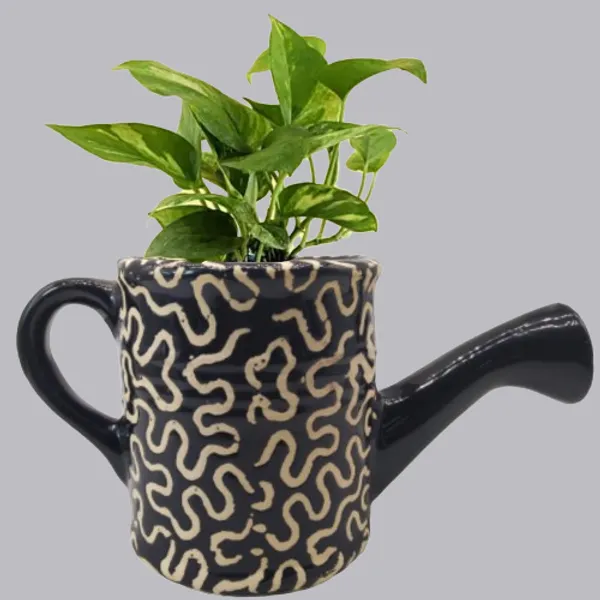 Black_Ceramic_Planter_Watering_Can_Shaped_Indoor_Outdoor_Plant_Container_Vase_5_inch
