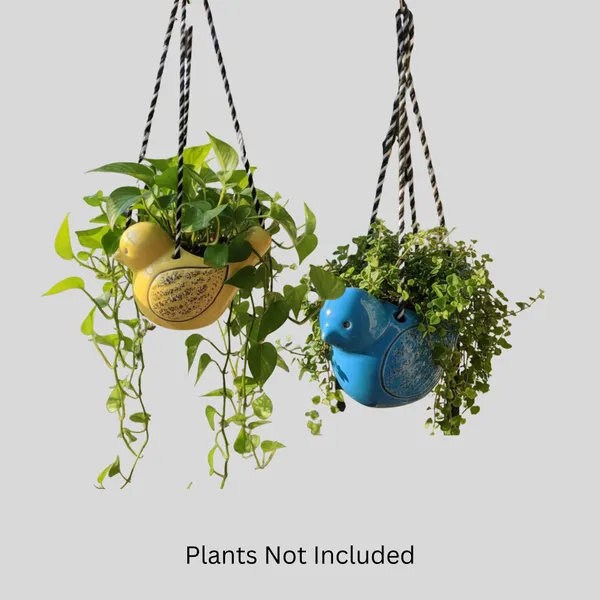 Sparrow_Duo_Hanging_Planters_Set_of_2__(Yellow&_Blue)
