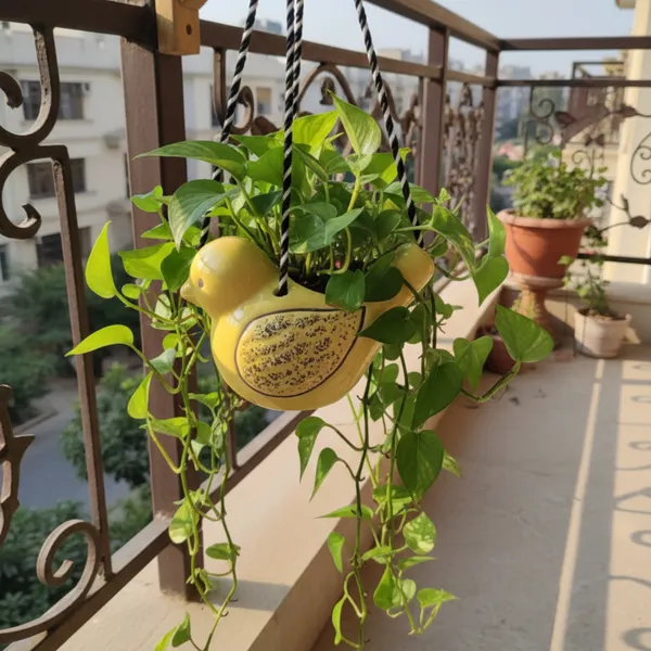Sparrow_Duo_Hanging_Planters_Set_of_2__(Yellow&_Blue)