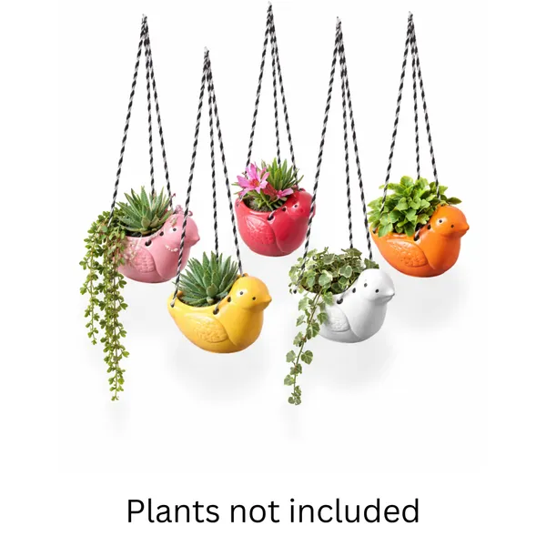 Sparrow_Hanging_Planters__Set_of_5(Red,_Orange,_White,_Pink_and_Yellow)