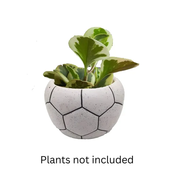 Ceramic_Football_Shaped_Planter_Pot_Flower_Pot_Handicraft_by_Awarded__n_Artisan_(White,_Large),_1_Piece