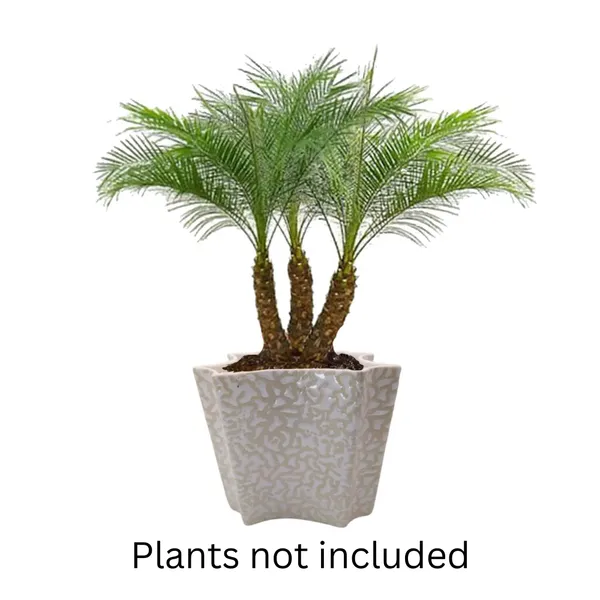 White_Ceramic_Indoor_Outdoor_Planter_Flower_Pot_Self_Design_5.5_inch