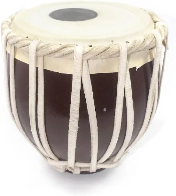 Wooden_Tabla_Set/Tabla_Drum_,_Wooden_Bayan_&_Dayan_with_Cushion_and_Leather_Straps_to_Tune_-_Perfect_Tabla_Set_for_Beginners,_Wooden_Tabla_Set_with_Learning_Book