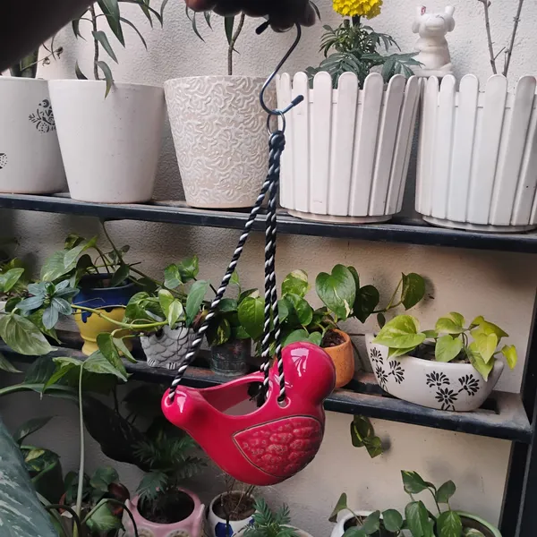 Set_of_2_Sparrow_Duo_Hanging_Planters___Red_&_Green