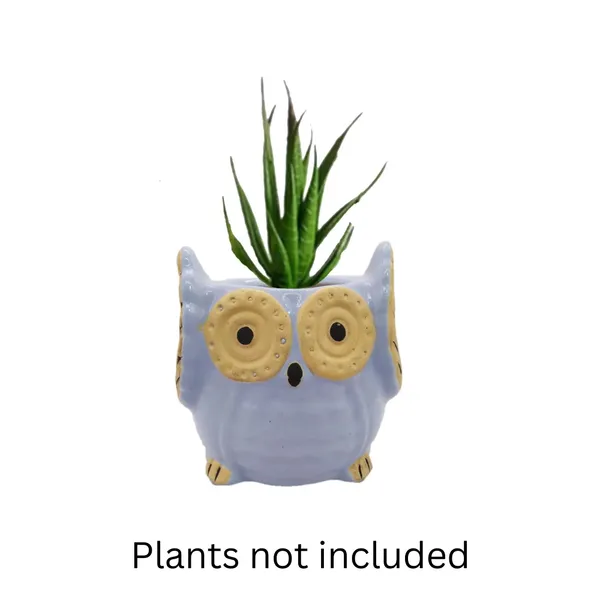 Sky_Blue_Owl_Shape_Ceramic_Flower_Pot_Planter_Pot_Indoor_Outdoor_Planter_3.5_inch