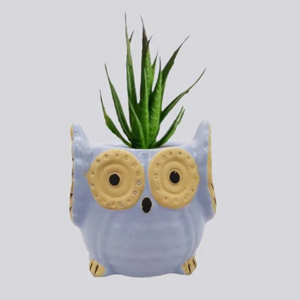 Sky_Blue_Owl_Shape_Ceramic_Flower_Pot_Planter_Pot_Indoor_Outdoor_Planter_3.5_inch
