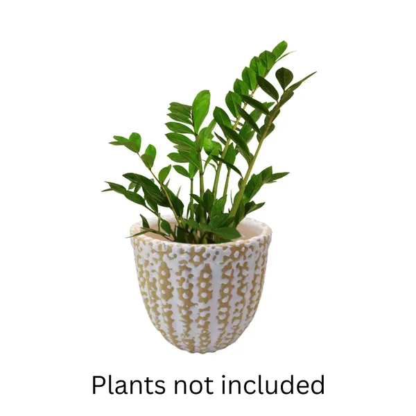 Cream_Ceramic_Planter_Indoor_Outdoor_Flower_Pot_5_inch