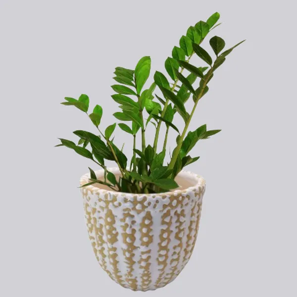 Cream_Ceramic_Planter_Indoor_Outdoor_Flower_Pot_5_inch