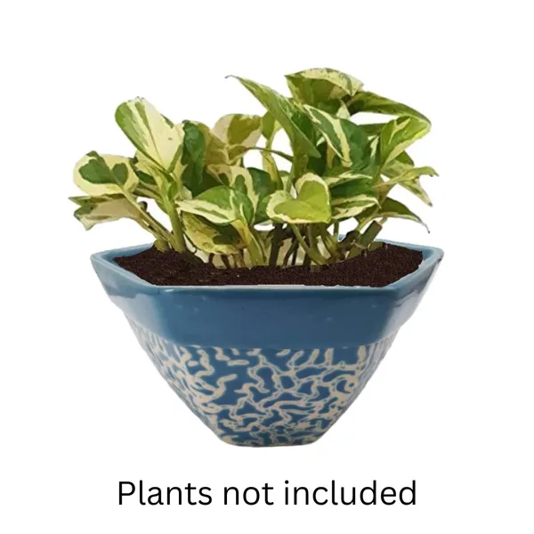 Ceramic_Flower_Pot_Planter_Indoor_Outdoor_Planter_Handicraft_by_Awarded__n_Artisan_(H-5_x_D-8_Inch,_Blue)