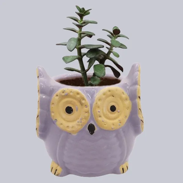 Purple_Owl_Shape_Ceramic_Flower_Pot_Planter_Pot_Indoor_Outdoor_Planter_3.5_inch