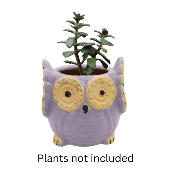 Purple_Owl_Shape_Ceramic_Flower_Pot_Planter_Pot_Indoor_Outdoor_Planter_3.5_inch