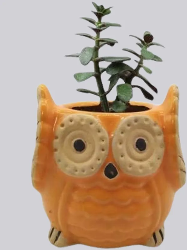 Orange_Owl_Shape_Ceramic_Flower_Pot_Planter_Pot_Indoor_Outdoor_Planter_3.5_inch