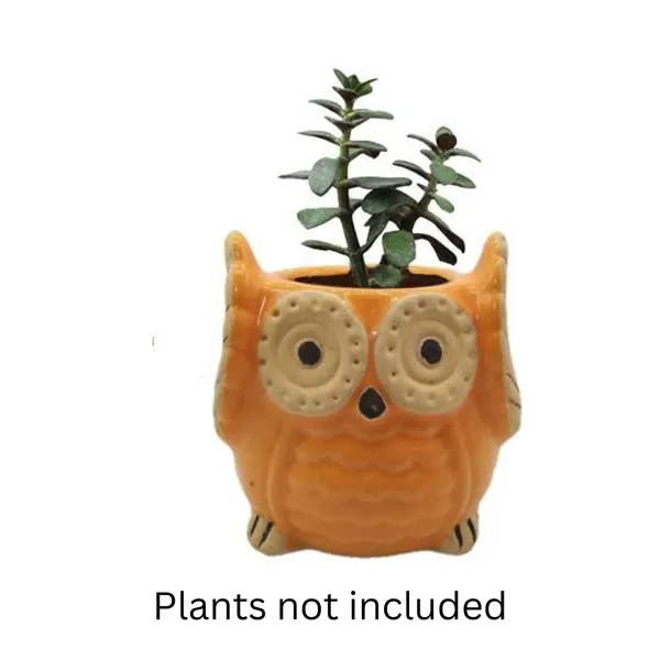 Orange_Owl_Shape_Ceramic_Flower_Pot_Planter_Pot_Indoor_Outdoor_Planter_3.5_inch
