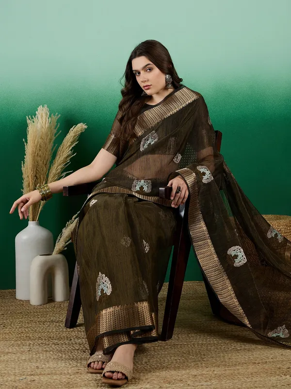Green_Organza_Embroidered_Banarasi_Saree_With_Unstitched_Blouse_For_Women