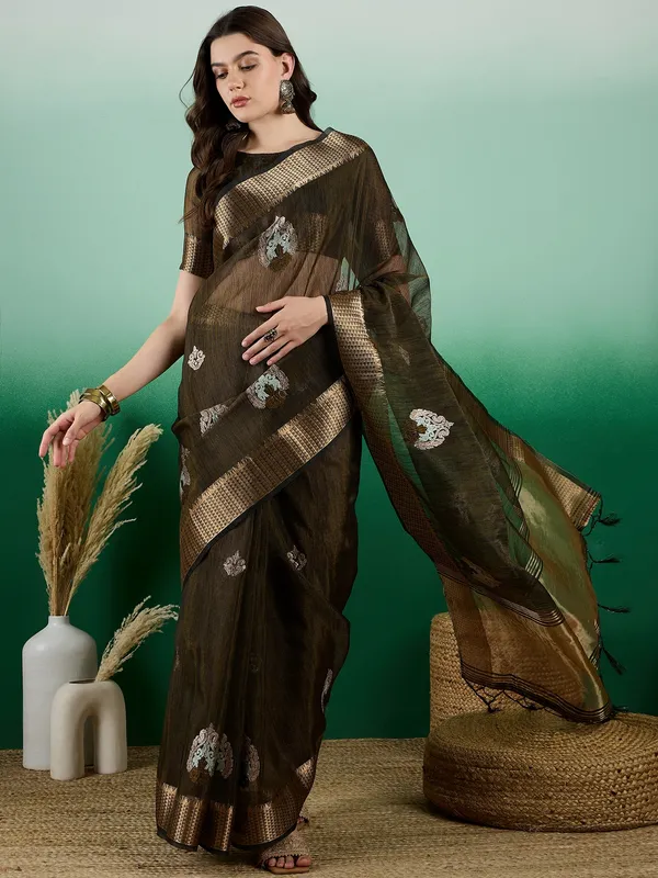 Green_Organza_Embroidered_Banarasi_Saree_With_Unstitched_Blouse_For_Women