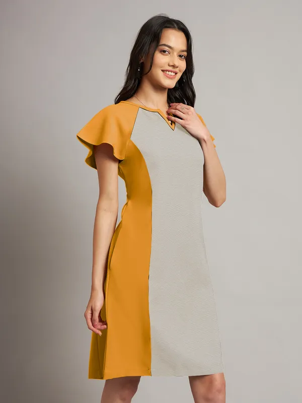 BRINNS_Women_Pure_Cotton_Colourblocked_Sheath_Dress