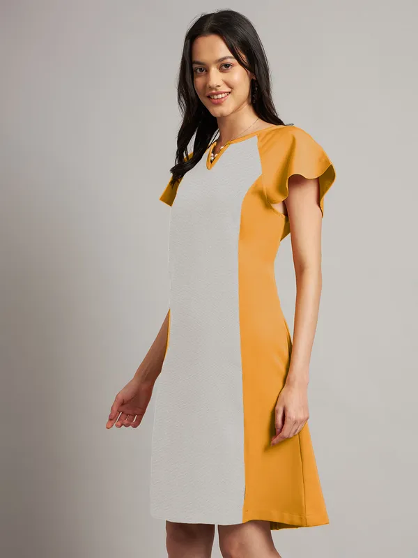 BRINNS_Women_Pure_Cotton_Colourblocked_Sheath_Dress